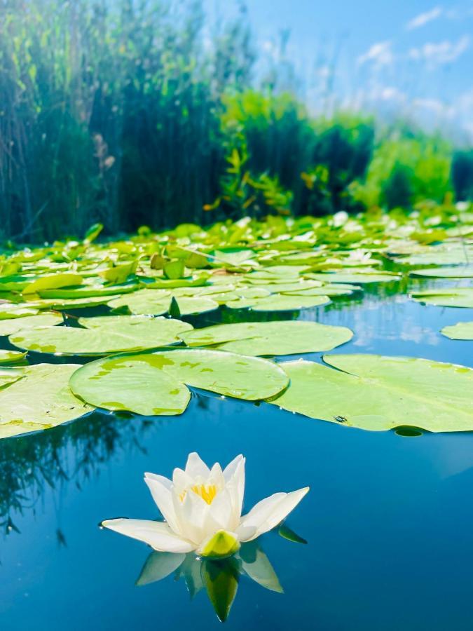 Danube Delta View 호텔 Dunavăţu de Jos 외부 사진