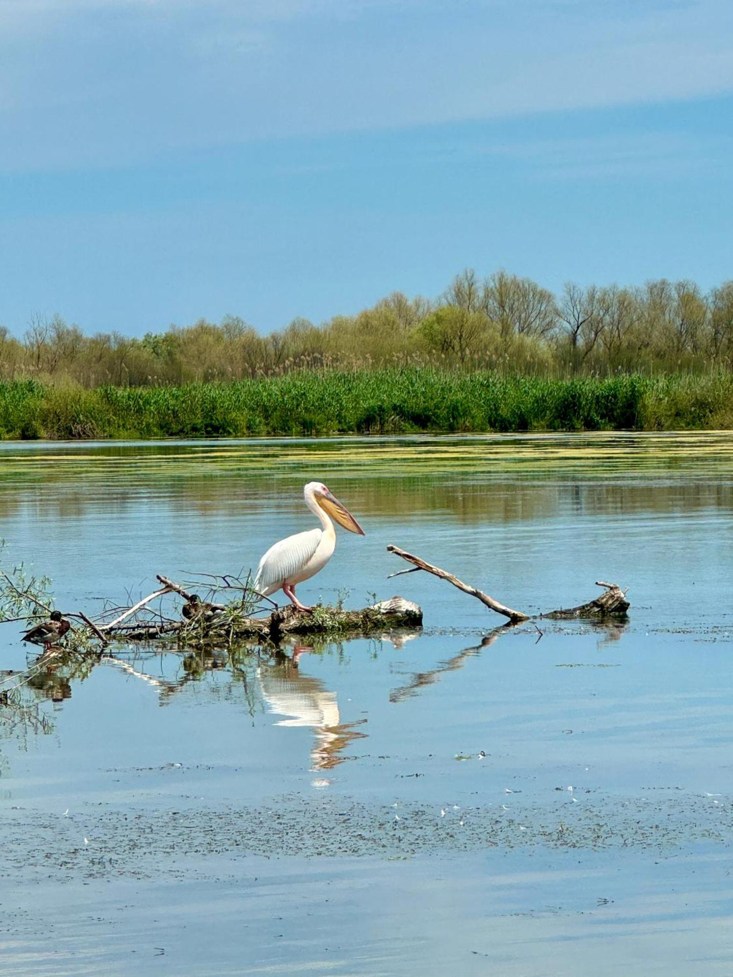 Danube Delta View 호텔 Dunavăţu de Jos 외부 사진